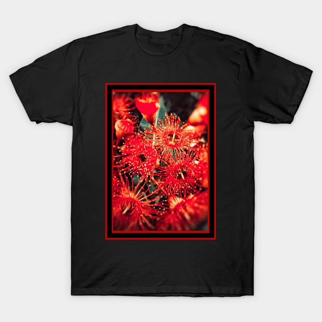 Beautiful Red Spikey Flowers T-Shirt by Blue Butterfly Designs 